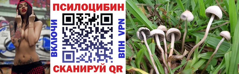 купить  цена  shop Telegram  Галлюциногенные грибы прущие грибы  Шахунья 
